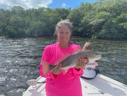 Redfish caught by angler in Fort Myers