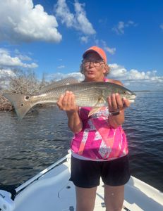 Redfish caught while fishing in Fort Myers