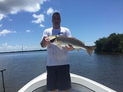 Redfish caught by an angler in Fort Myers