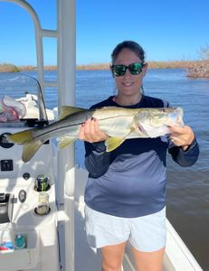 Snook fish caught in FL