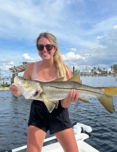 A single snook fish caught in Fort Myers
