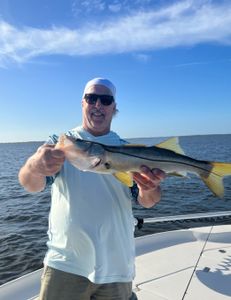 Snook fish caught in FL