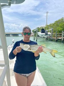 Snook fish caught in FL on fishing trip