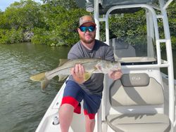A single snook fish caught in Fort Myers