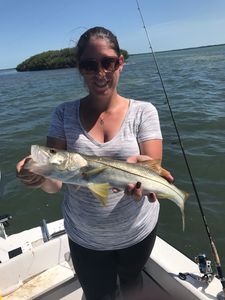 Snook fish caught in Fort Myers