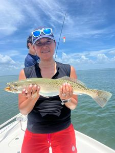 Spotted weakfish, 22 inches, caught fishing in Florida