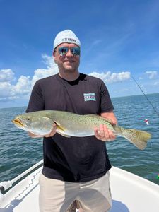 Spotted Weakfish caught in Fort Myers