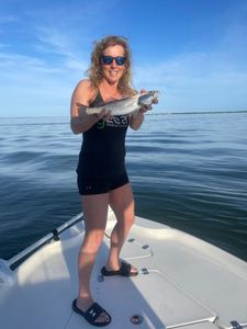 Spotted Weakfish caught while fishing in Fort Myers