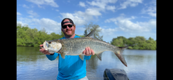 Tarpon, 31 inches, fishing in FL