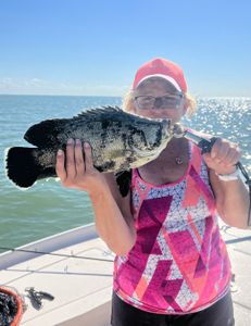 Tripletail fish caught in FL
