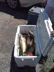 Exciting fishing trip at Lorain