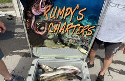 A beautiful view of Lorain, showcasing the best fishing spots.