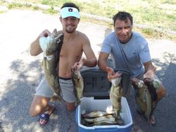 3 sauger fish caught fishing in OH