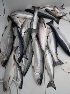 Trophy fish and unforgettable moments await