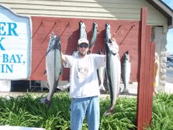 Reeled In Some Large Salmon in Lake Michigan