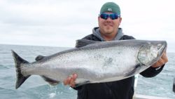 Best Lake Michigan's Chinook Salmon Fishing!