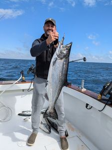 Chinook Salmon caught in Sturgeon Bay