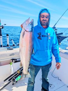 A stunning pink salmon, caught in the waters of Sturgeon Bay