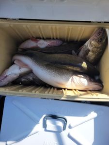 Two anglers fishing in OH