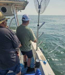 Fishing in OH
