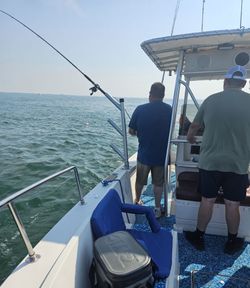 Stunning view of Toledo skyline during fishing trip