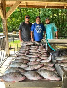 Clarks Hill Crappie Fishing