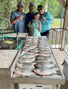 4 fish caught in Thomson, great fishing