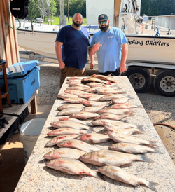 4 great fishing catches in GA