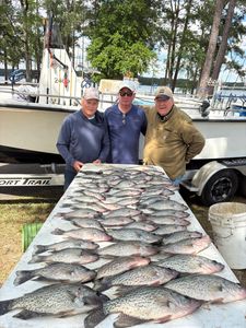 6 crappie fish caught in GA