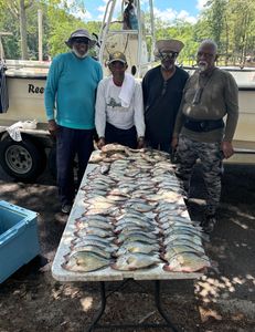 Four anglers fishing in Thomson
