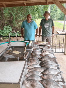 3 fish caught in GA while fishing