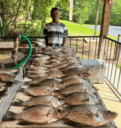 5 large fish caught in Thomson
