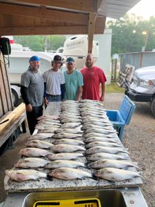 3 big fish caught at Thomson location