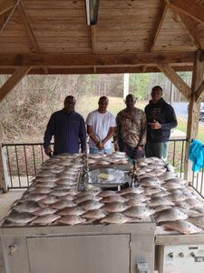 Great catch of a 20-inch fish in Thomson