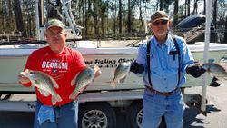 3 fish caught in Thomson