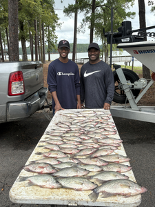 Huge crappies reeled in on a cloudy day in Thomson!