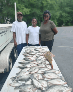 Two bluefish, 30 inches long, caught while fishing in GA