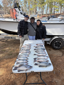 Caught a good haul at the lake today!