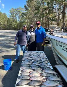 Georgia crappie guide