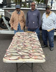 Two crappie fish caught while fishing in GA