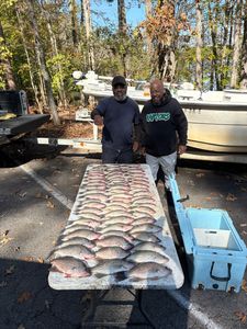 Crappie fish caught in Thomson, Georgia