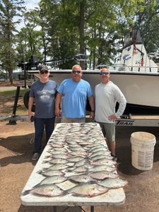 Crappie fish caught in Thomson