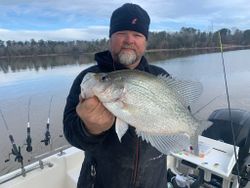 Crappie fish caught in GA