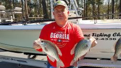 3 crappie fish caught while fishing in GA