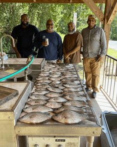 Two large crappie fish caught during fishing trip in Thomson