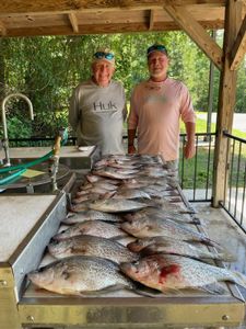 Crappie Fishing in Clarks Hill Lake