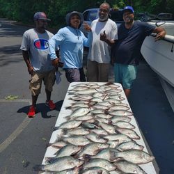 2 big fish caught by 4 people in Thomson