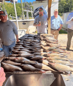 Three anglers enjoying a great fishing trip in GA