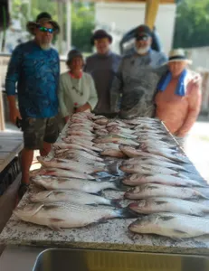 4 fishing rods and 5 people in GA