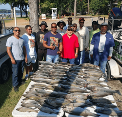11 people fishing in Thomson